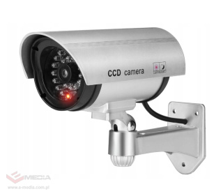 Dummy tube monitoring camera, silver