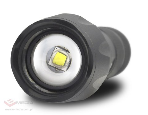 Fahrradscheinwerfer vorne: everActive FL-600 LED-Taschenlampe + Fahrradhalterung