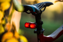 Mactronic WALL-e BPM-2SL LED rear bicycle light