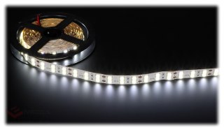 TAŚMA LED LED120A-12V/28.8W-CW/5M 5 m - 6000 K